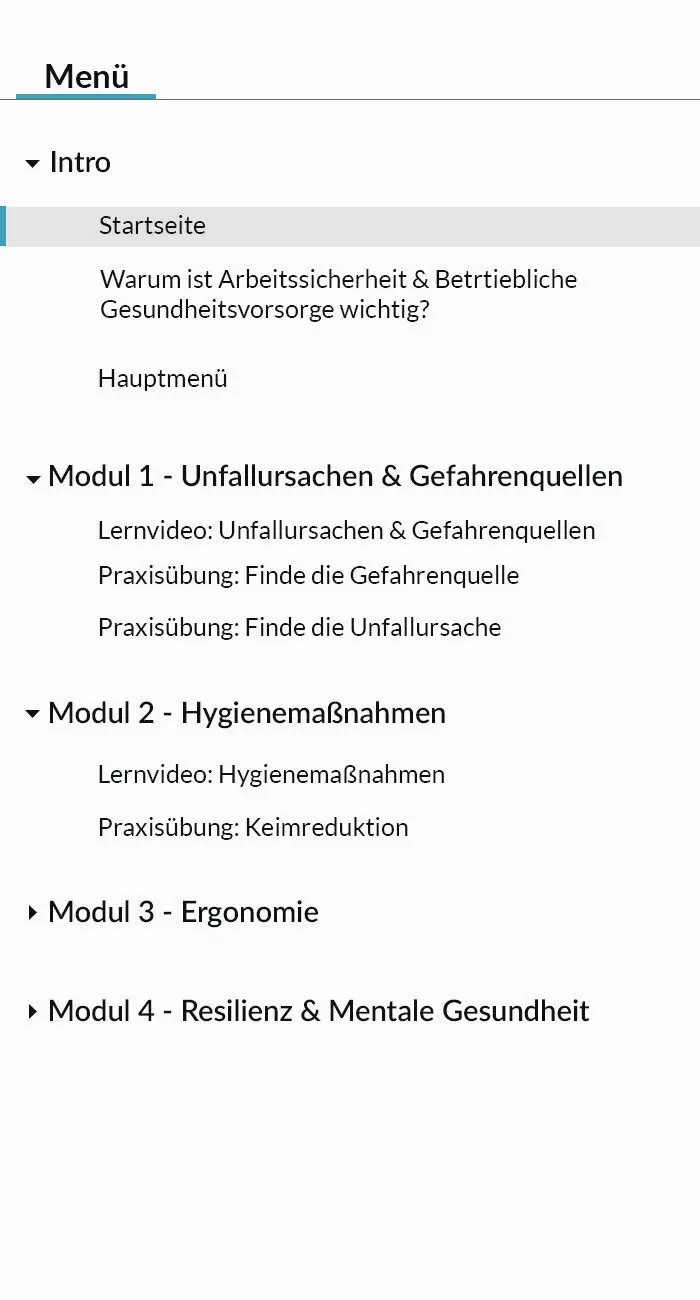 Das Bild zeigt den Inhaltlichen Aufbau des E-Learnings Arbeitssicherheit und betriebliche Gesundheitsvorsorge.